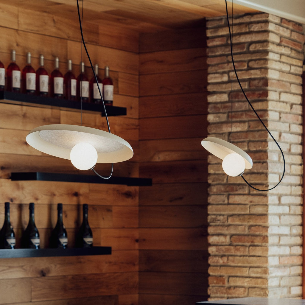 Ember Oak & Co. Acoustic Disc Pendant Lamp — Glass Design