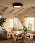 AFX Duncan Ceiling Light — Dimmable LED — lifestyle photo